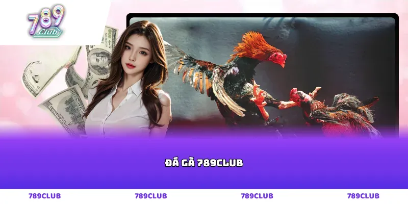 Đá gà 789club